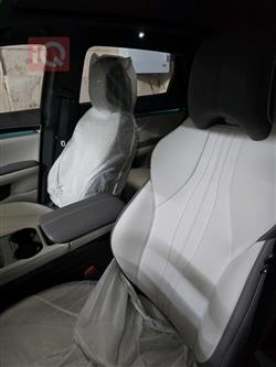 بي واي دي سونغ بلس